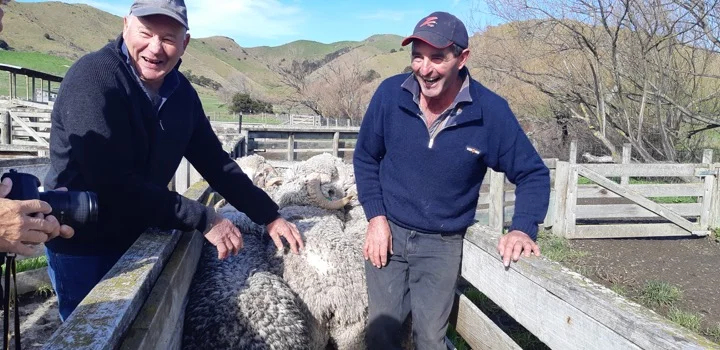 Meet locals Tim and Andrew on their merino sheep farm in Marlborough