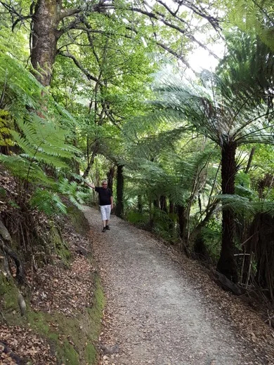 Walking in the bush at Queen Charlotte Sound