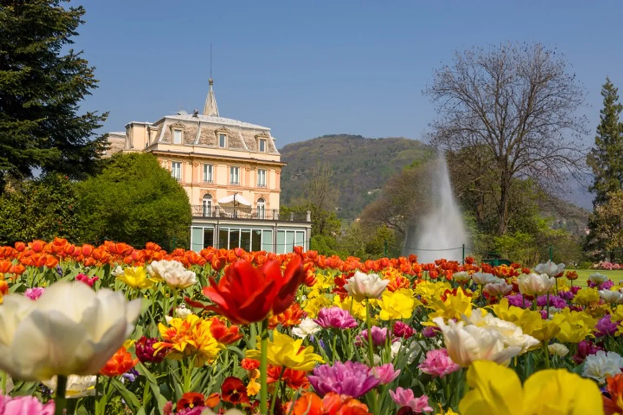 Tulips bloom in early spring in the gardens of Villa Taranto