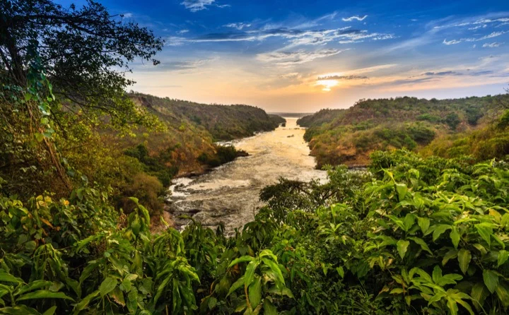Murchison Falls National Park, Uganda