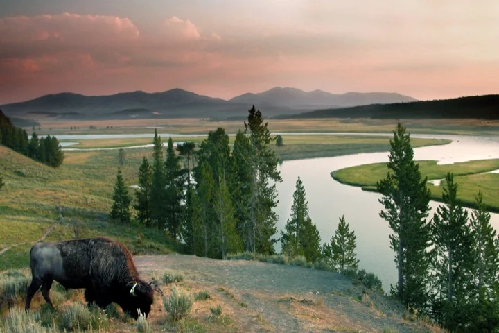 Yellowstone National Park, Wyoming