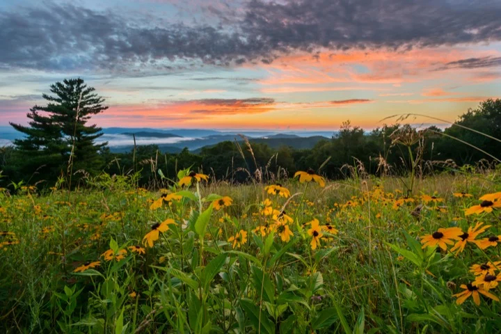 Shenandoah National Park, Virginia