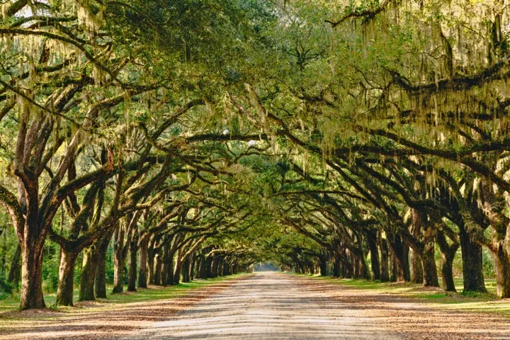 Savannah, Georgia