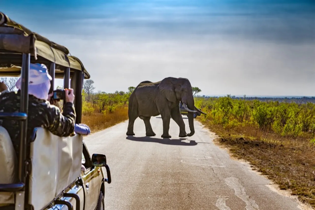 Kruger National Park, South Africa