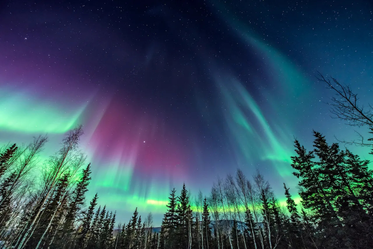 northern lights