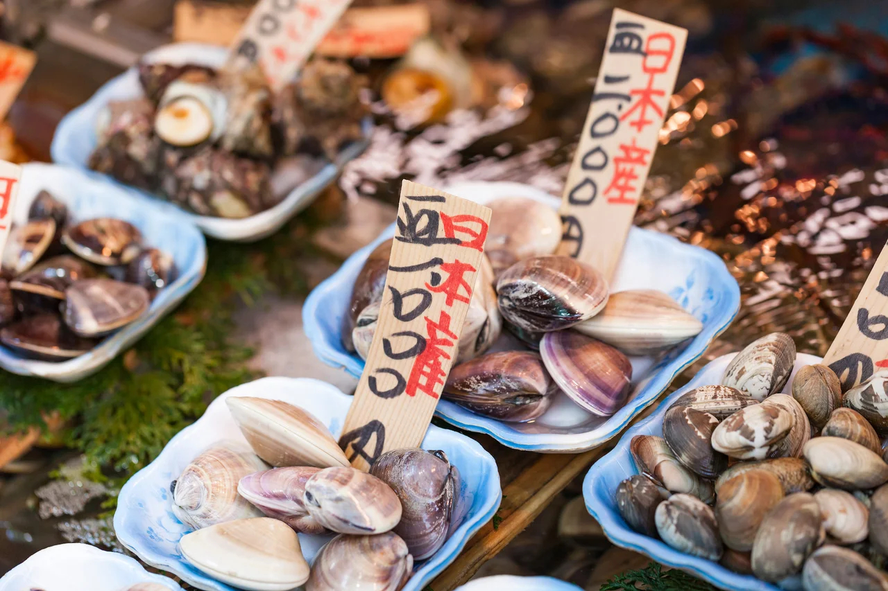 japan off the beaten track