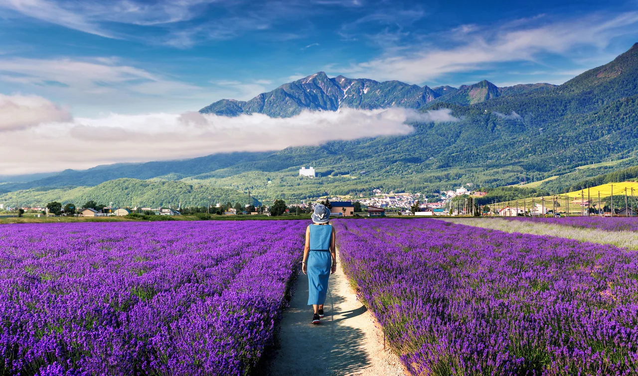japan off the beaten track
