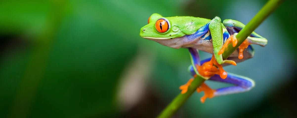 Costa-Rica