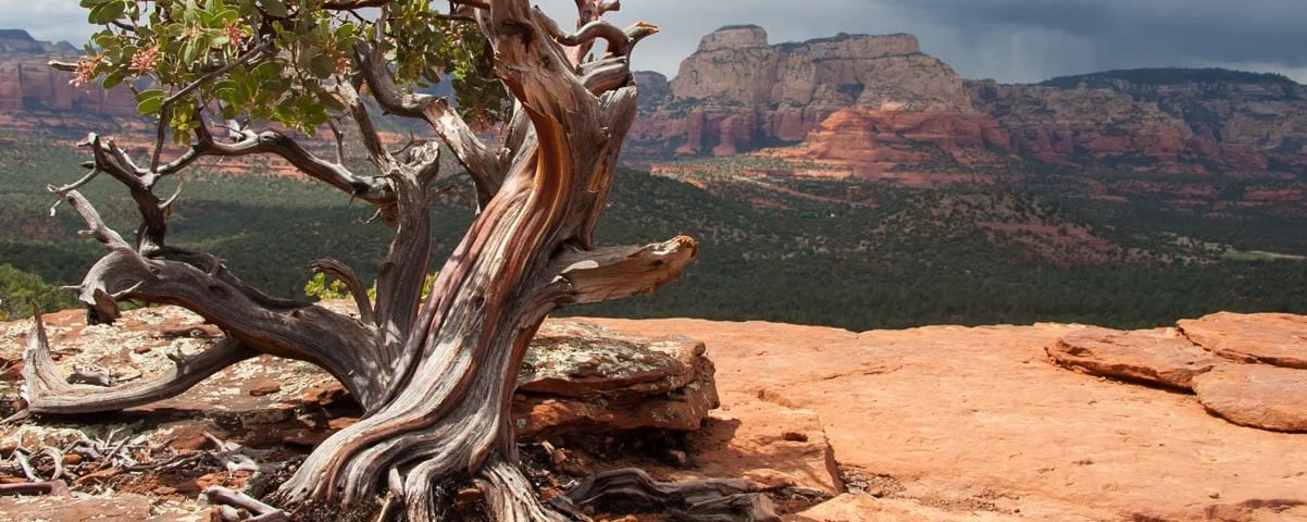 Sedona