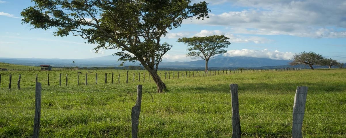 Guanacaste