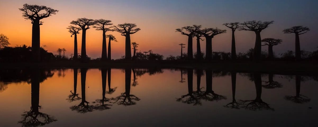 Madagascar