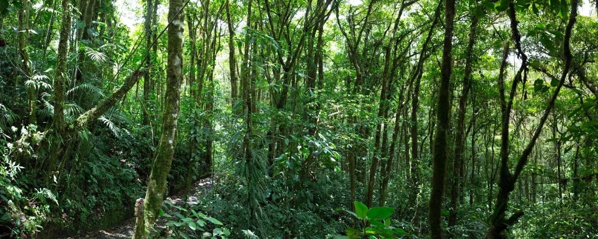 Puntarenas