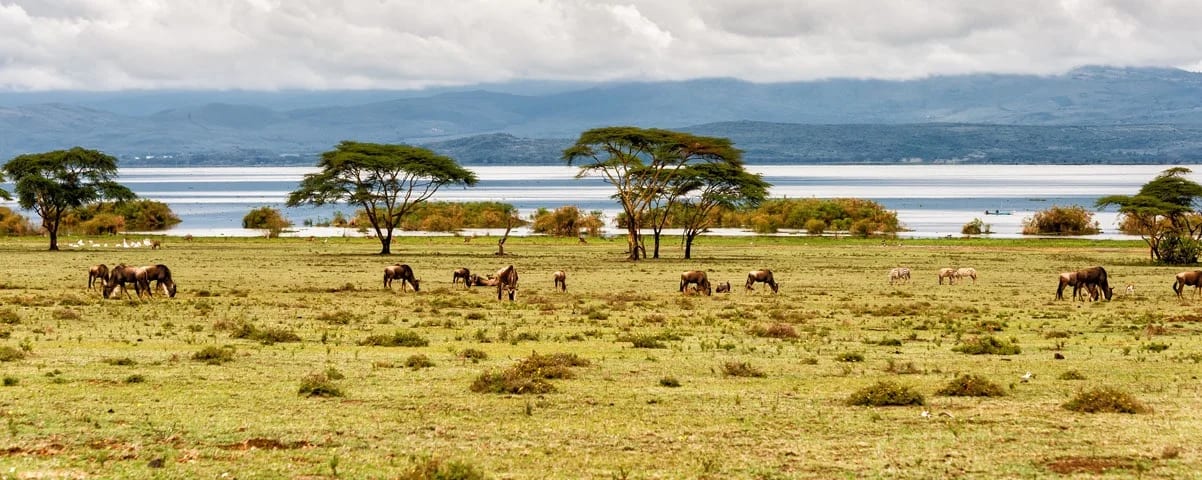 Nairobi