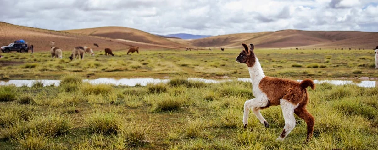 Peru