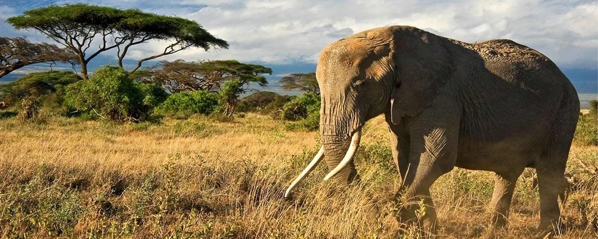 Tanzania