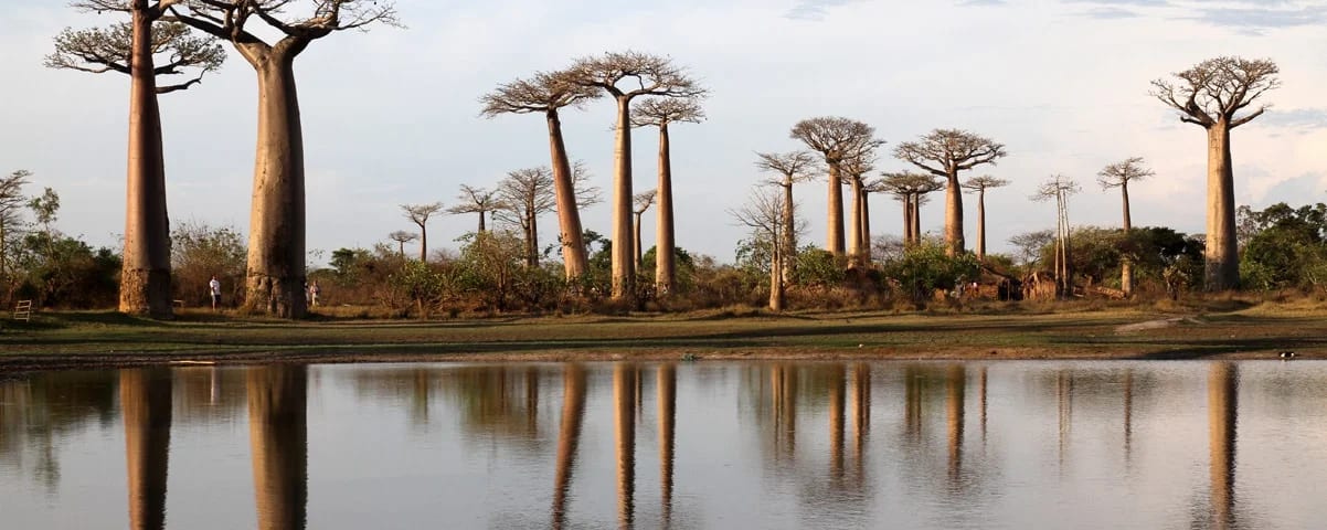 Morondava