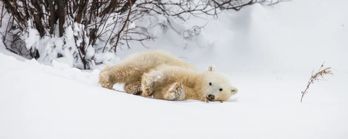 Canada