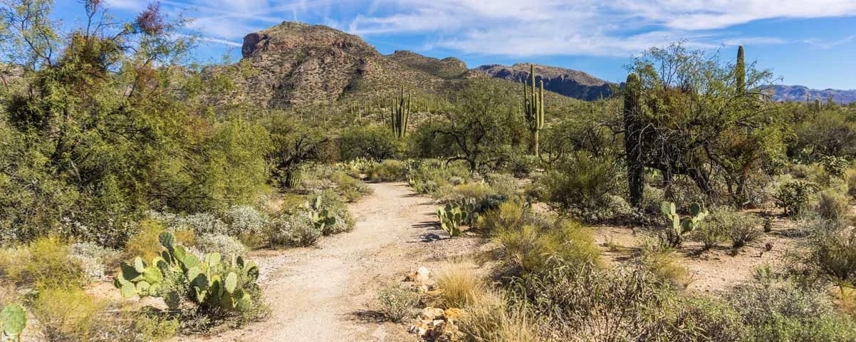 Tucson