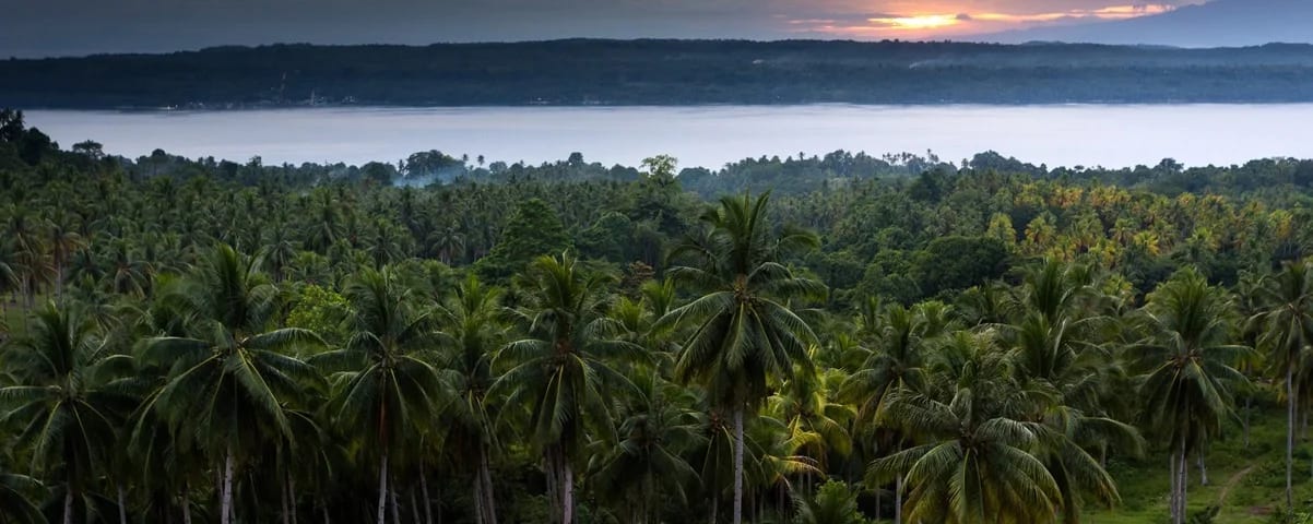 Davao City