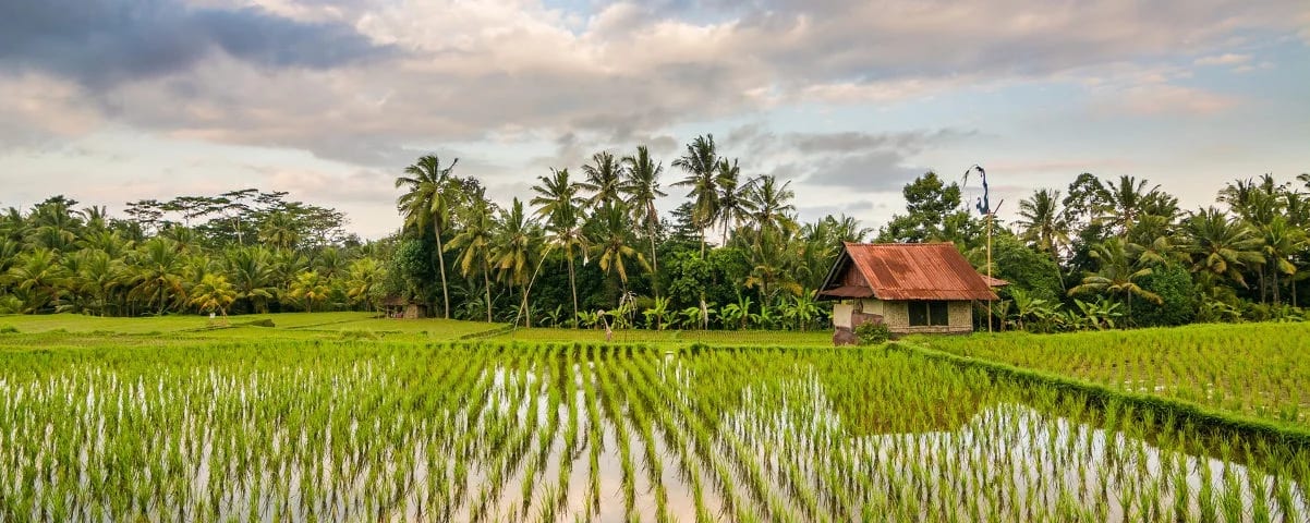 Solo-Surakarta