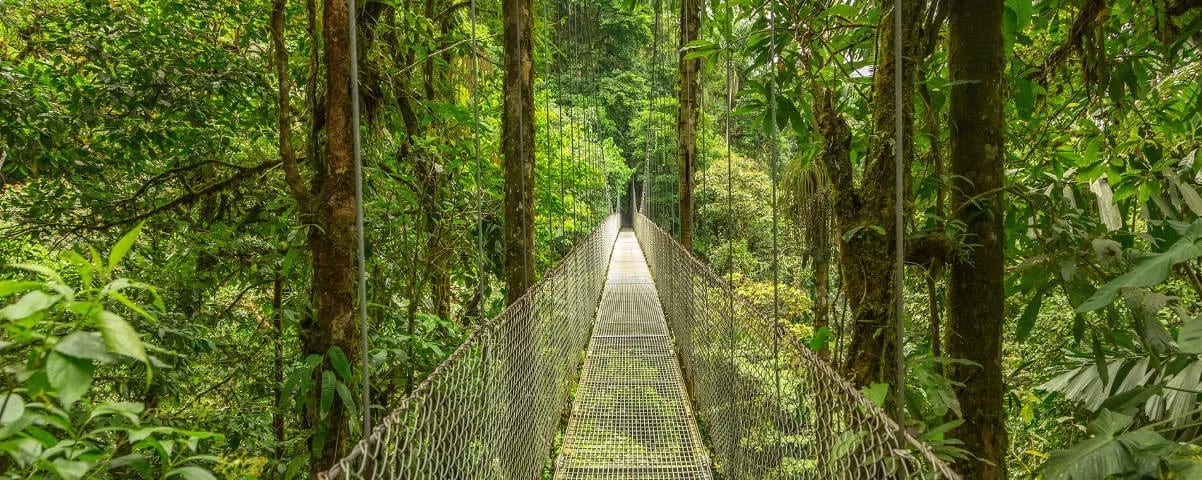 Monteverde