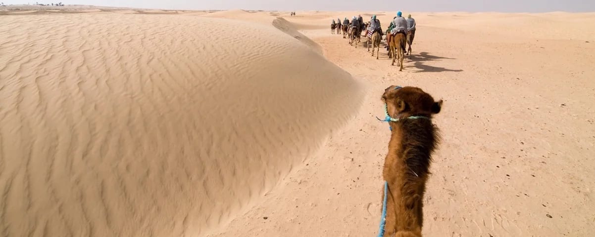 Djerba