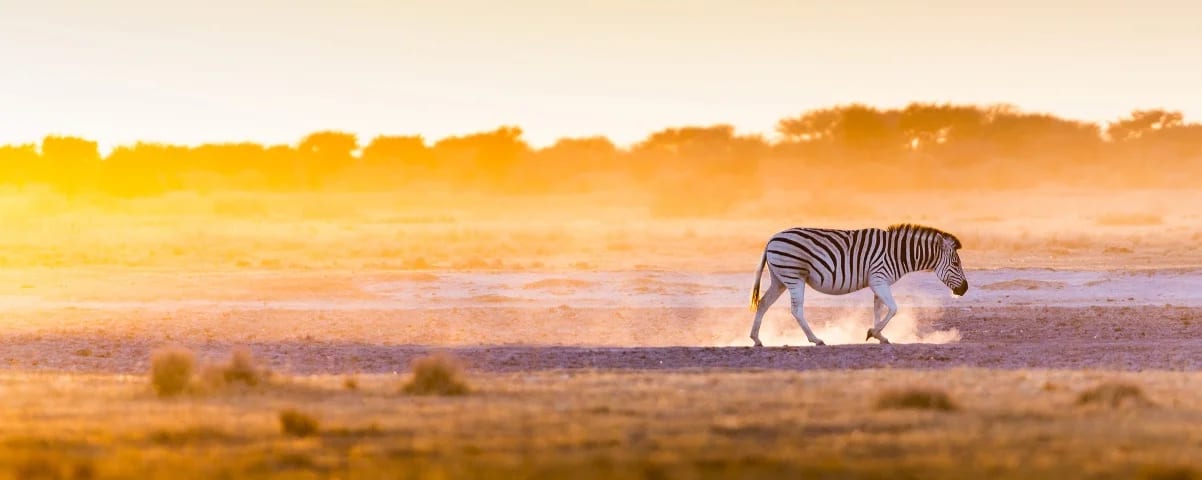 Botswana