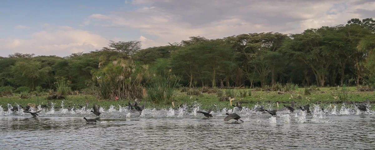 Kisumu