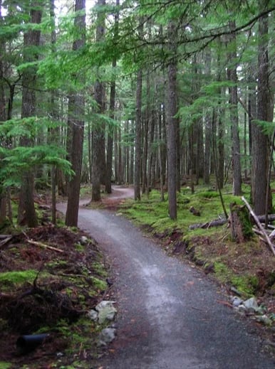 An accessible hiking trail