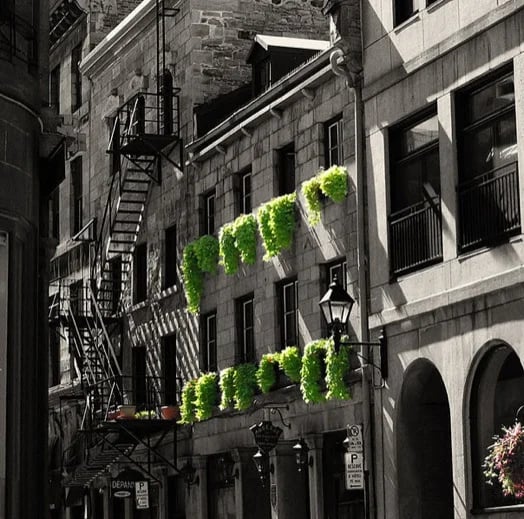 Quaint streets in Old Monreal