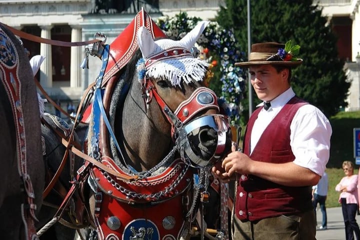 Horses ready for the parade
