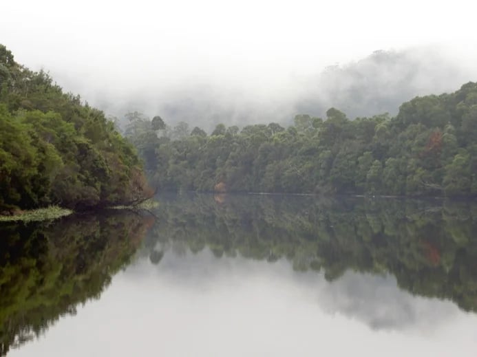 Pieman River