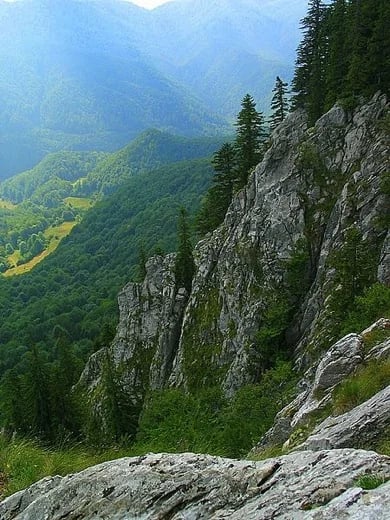 Carpathian Mountains