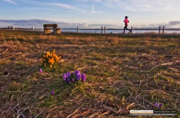 Vancouver Spring (photo courtesty of Jorge Ligason)