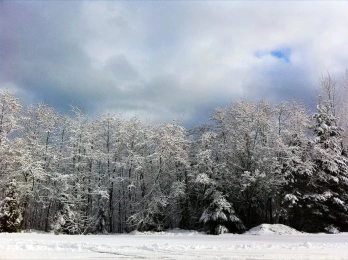 Beautiful Burnaby Mountain...but we want Spring!