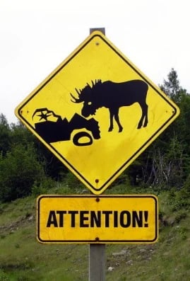 Pay attention while driving!