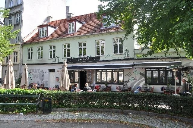 Leafy courtyard at Cafe Bopa