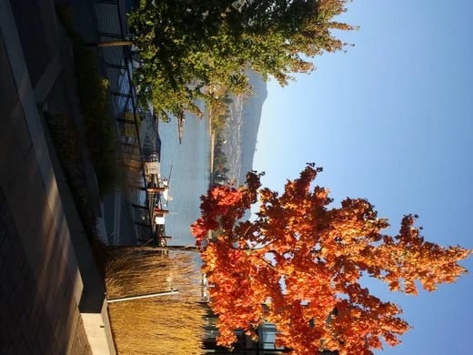 It was a beautiful Vancouver day
