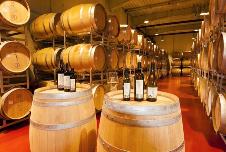 Romanian Winery