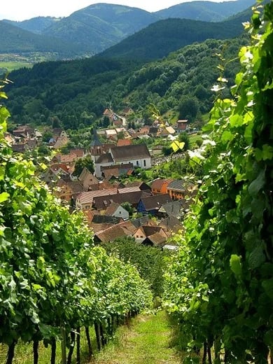 Thecharming Alsatian town of Albe