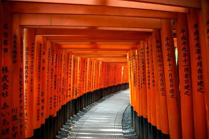 Torii gates, Fushimi Inari Shrine