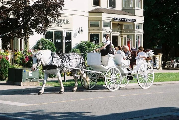 A horse drawn carriage in Niagara-on-the-Lake