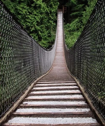 Lynn Canyon Suspension Bridge