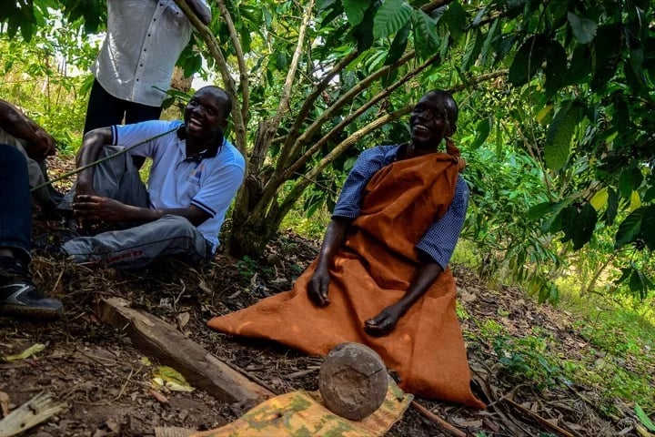 Barkcloth makers in Uganda