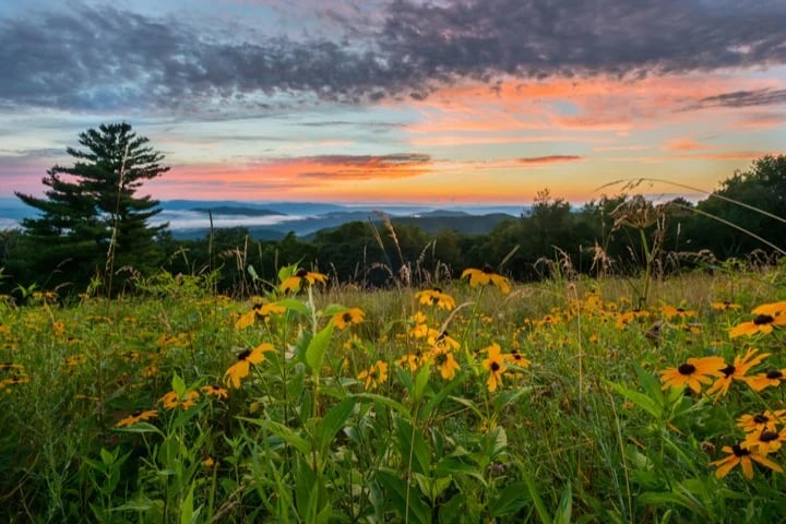 Shenandoah National Park, Virginia