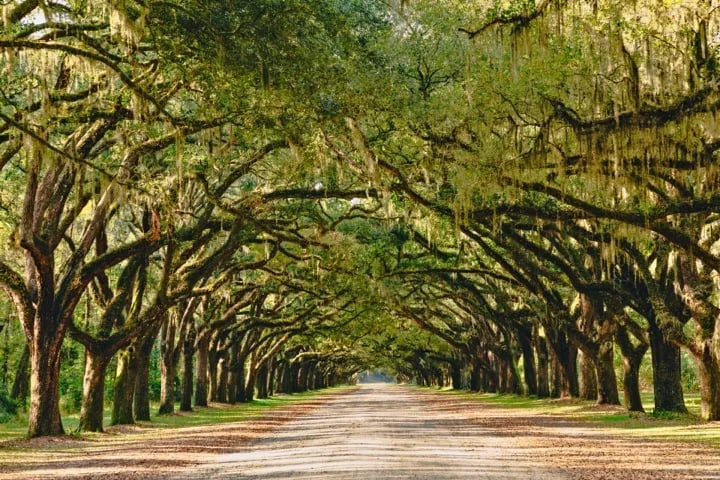 Savannah, Georgia