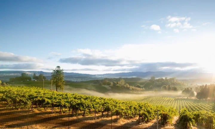 Napa Valley Wine Country