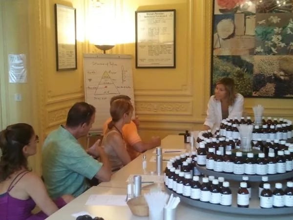 In the secret of perfums and flowers-private tour full day-