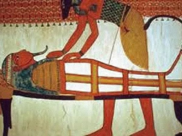 Luxor and Mummification museums in a half day tour