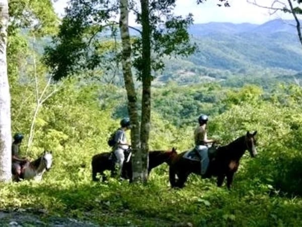 Private Horseback Riding Experience - Shore Excursion